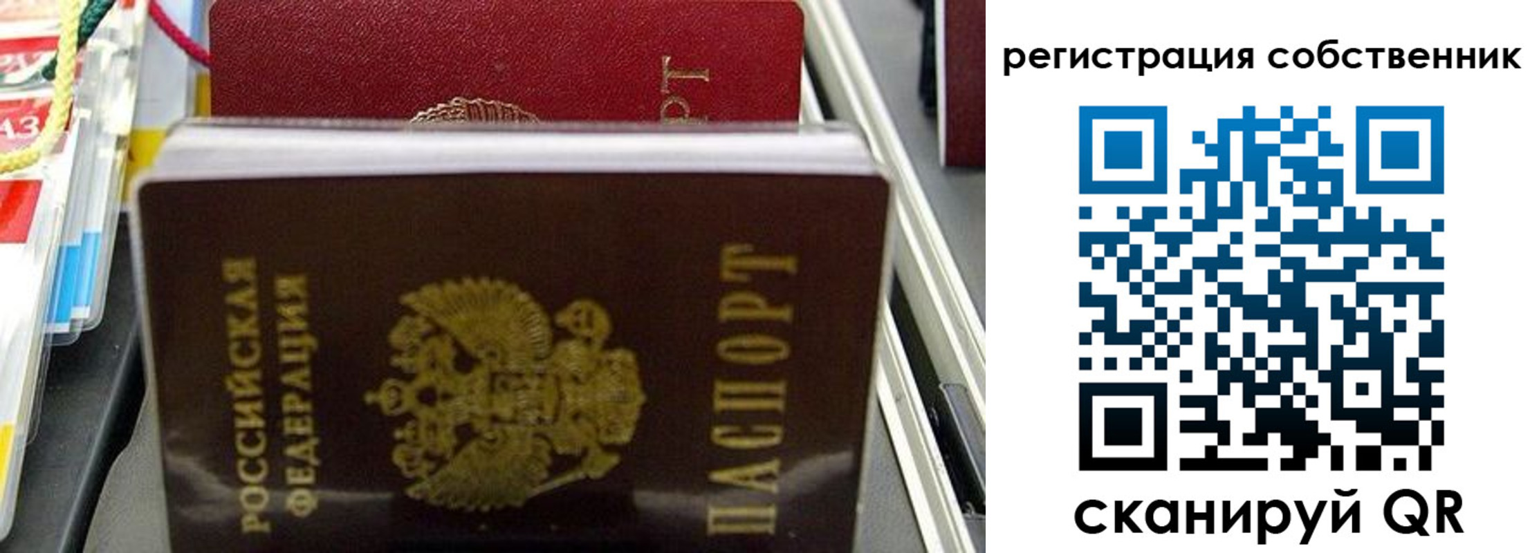 временная регистрация поиск в Свободном